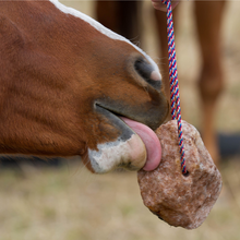 Redmond Rock® on a Rope- Equine Minerals